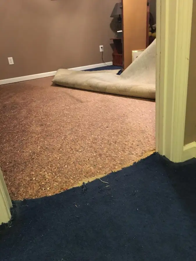 Carpet pad removal revealing water damage during Drying & Dehumidification in Bardmoor