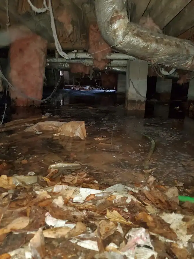 Crawl space flood assessment for Commercial Water Damage Restoration in Bardmoor